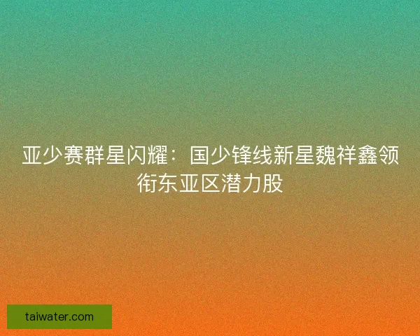 亚少赛群星闪耀：国少锋线新星魏祥鑫领衔东亚区潜力股