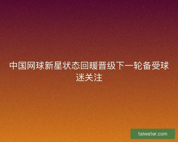 中国网球新星状态回暖晋级下一轮备受球迷关注