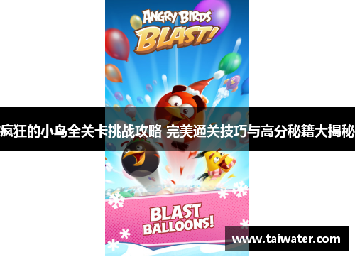 疯狂的小鸟全关卡挑战攻略 完美通关技巧与高分秘籍大揭秘